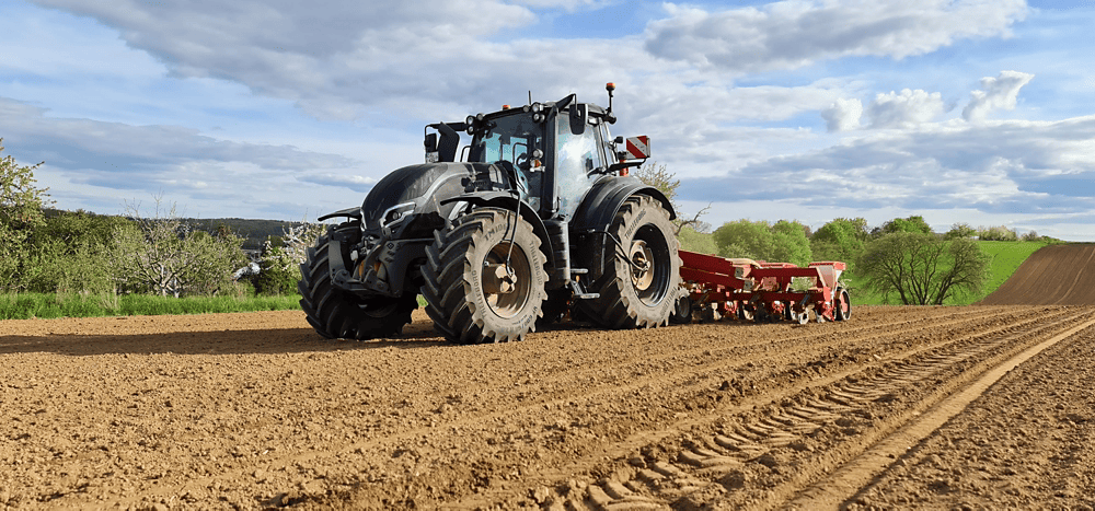 T195H (HiTech)